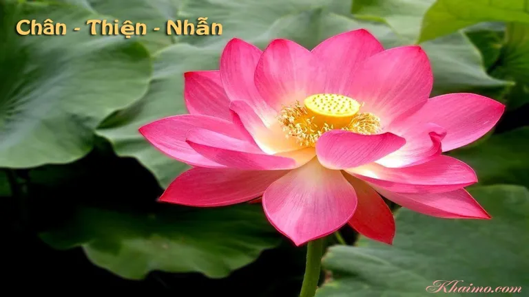 Pháp Luân Công-Môn tu luyện được hơn 100 triệu người yêu chuộng và thực hành